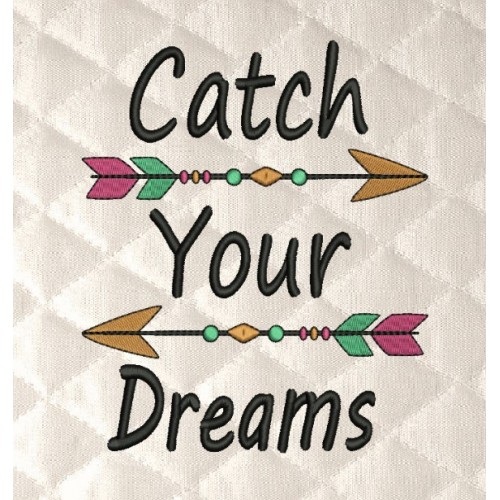 Catch your dreams arrows