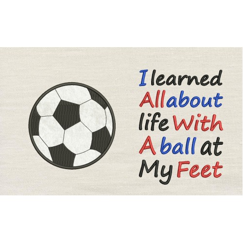 Soccer Ball with I learned reading pillow