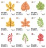 18 Cute Mini Leaves Embroidery Design Bundle